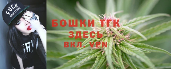 дмт Белокуриха