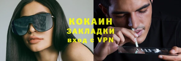 дмт Белокуриха
