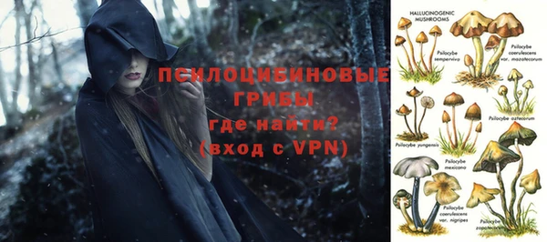 дмт Белокуриха