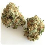 Шишки "White Widow"  (Белая вдова)  Гидропоника -  Бошка VHQ в Боровске